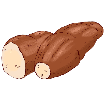 Ilustração de Aipim