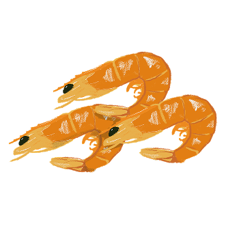 Ilustração de camarão seco