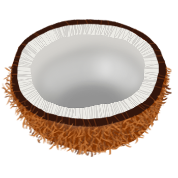 Ilustração de coco seco