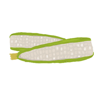 Ilustração de milho branco