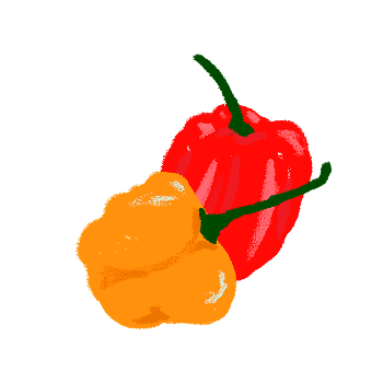 Ilustração de Pimenta de cheiro