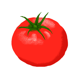 ilustração de tomate